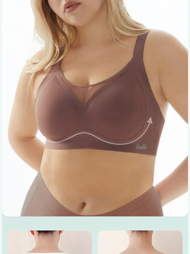 Radiant Curves Lace Bra